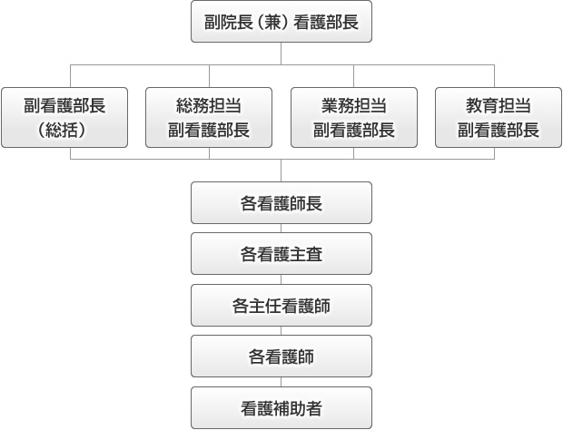 看護部組織体系