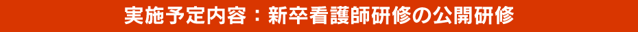 実施予定内容：新卒看護師研修の公開研修