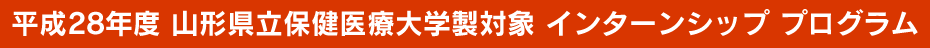 平成28年度 山形県立保健医療大学生対象 インターンシップ　プログラム