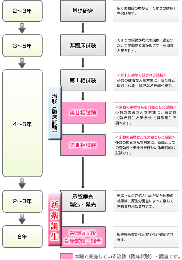 新しい医薬品ができるまで